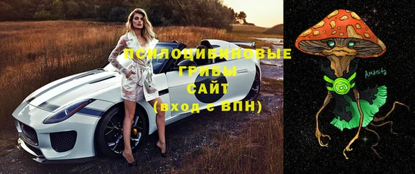 сатива Абаза