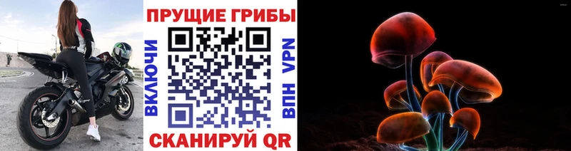 купить наркотики сайты  Ясный  Псилоцибиновые грибы прущие грибы 